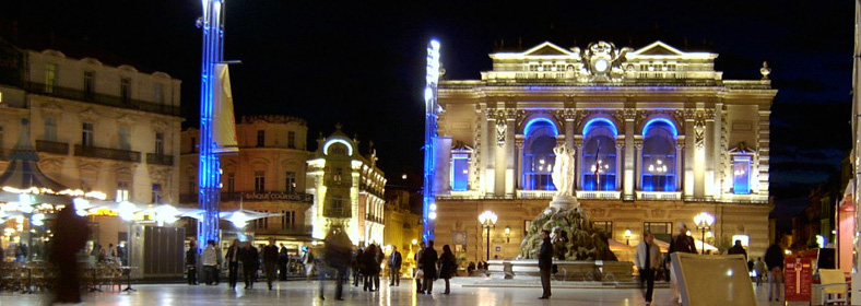 Ville de Montpellier activité commerciale